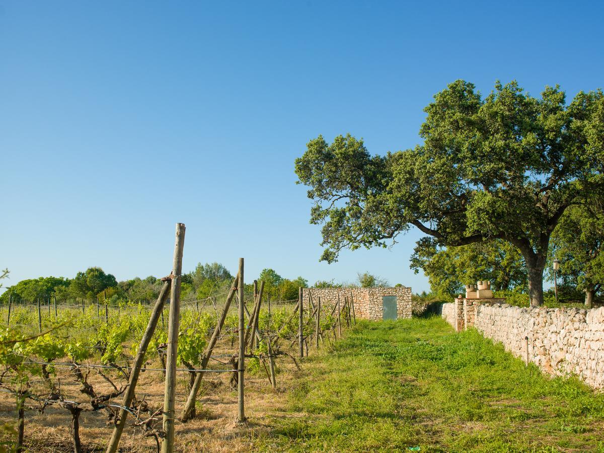 Sa Bassa Rotja Ecoturisme Séjour à la campagne